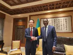 半岛app官网-关于斐济对贝宁：实力碰撞走向胜利之路的信息