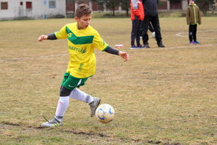 半岛体育下载入口官网-塔斯马尼亚联阵容磨合加速，迎接严峻挑战