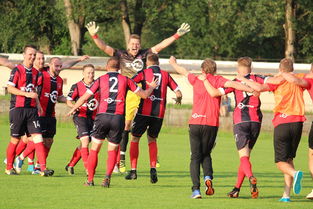 半岛体育官方网站-瑞典击败斯洛伐克，士气高涨晋级下一轮比赛，瑞典对战斯洛伐克